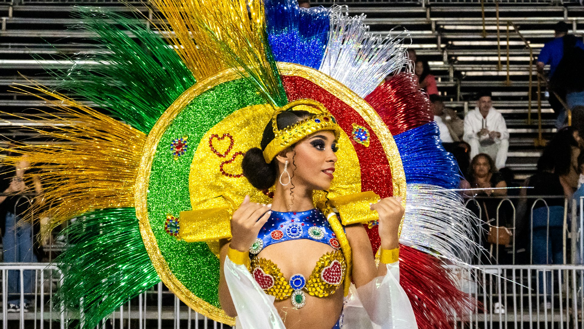 Woman in elaborate feathered costume at a festival